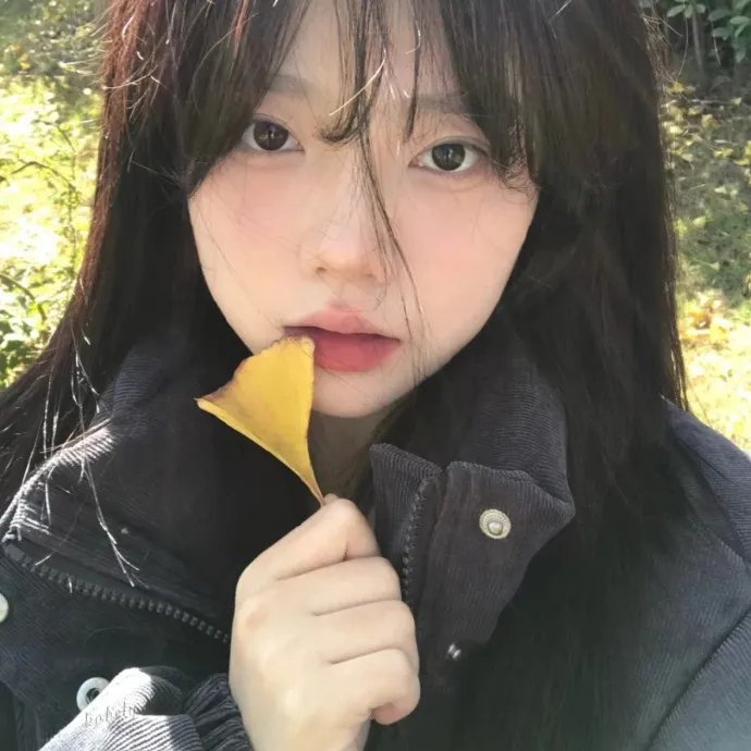 莺燕双飞